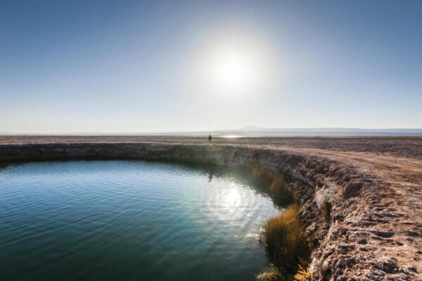 ojos del salar